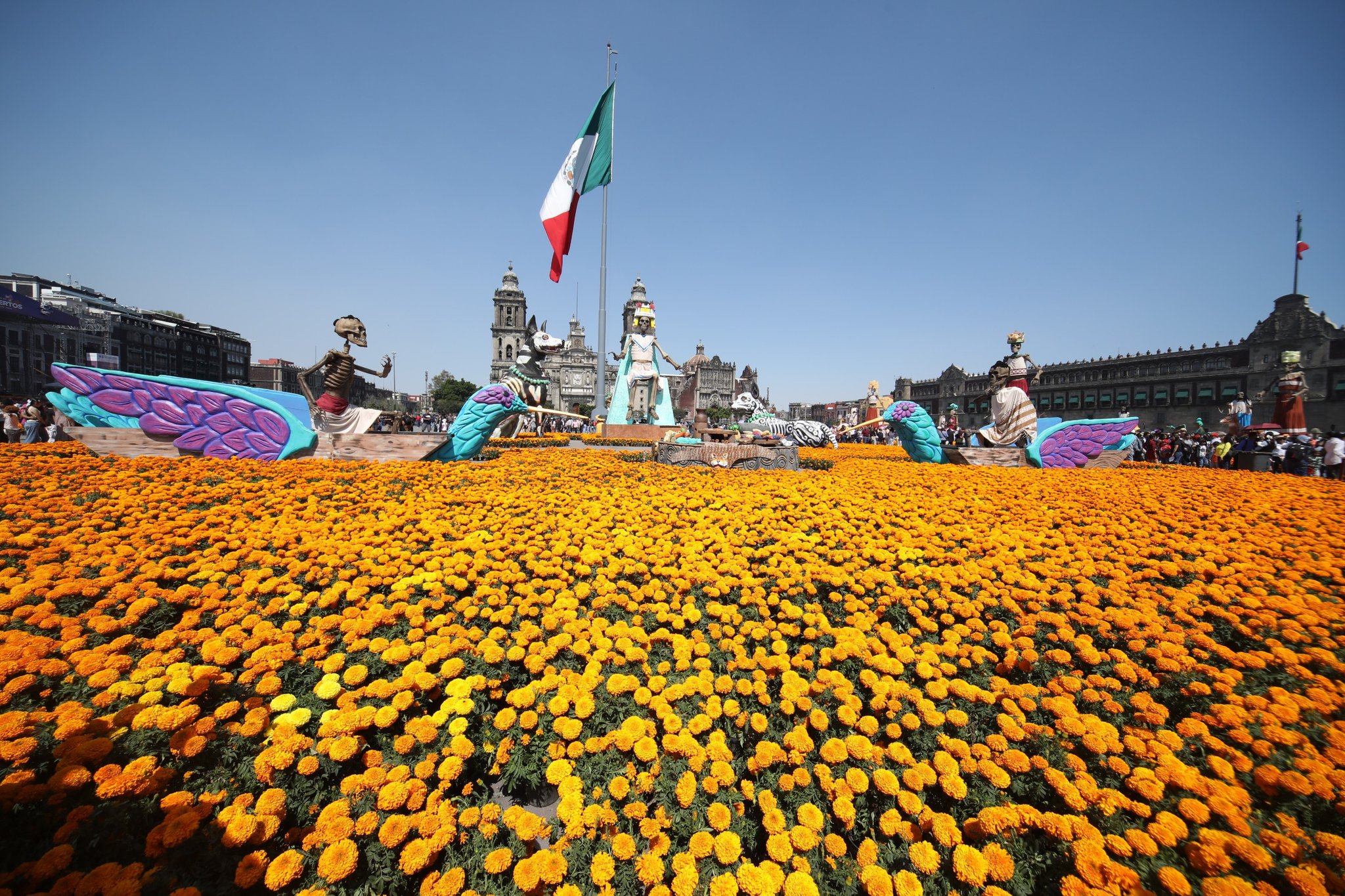 Turística y cultural: gran afluencia en ofrendas y eventos por Día de Muertos en CDMX